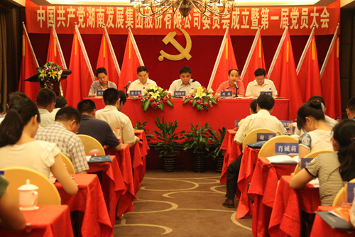 中共华体会平台委员会成立大会暨华体会(中国)一站式服务平台第一届党员代表大会胜利召开