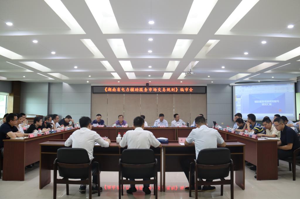《湖南省电力辅助服务市场交易规则》编审会在株洲航电分华体会(中国)一站式服务平台召开