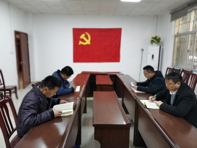 湖南鸟儿巢水电站发电有限华体会(中国)一站式服务平台党支部正式成立
