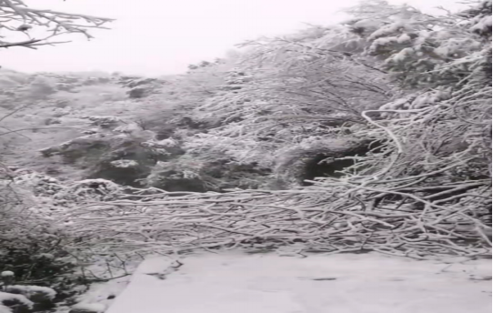 战暴雪、保供电！华体会平台鸟儿巢华体会(中国)一站式服务平台应对极端天气紧急抢修失电故障