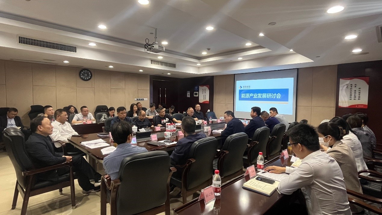 华体会平台召开能源产业发展研讨会