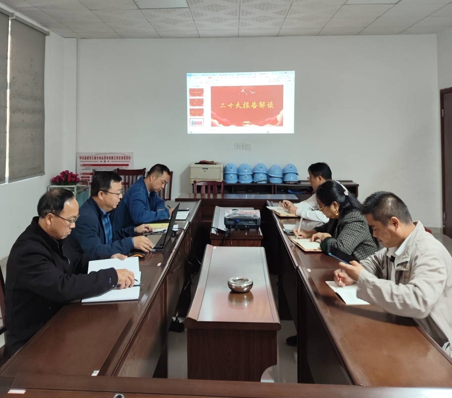 鸟儿巢华体会(中国)一站式服务平台党支部开展“一课一片一实践”主题党日活动